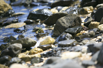 Fototapeta na wymiar Rounded Stones on the beach