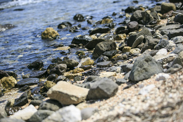 Fototapeta premium Rounded Stones on the beach