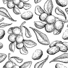 Shea butter vector seamless pattern drawing. Isolated vintage background with berry, nuts, branch.