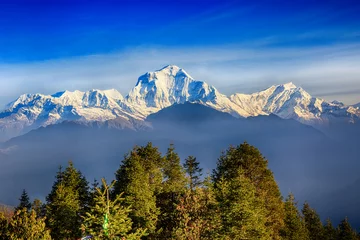 Photo sur Plexiglas Annapurna Sunrise view from Poon hill