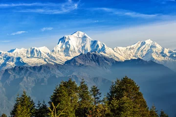 Peel and stick wall murals Dhaulagiri Sunrise view from Poon hill