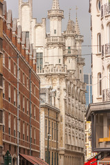 Fototapeta premium Brussels Architecture and Buildings