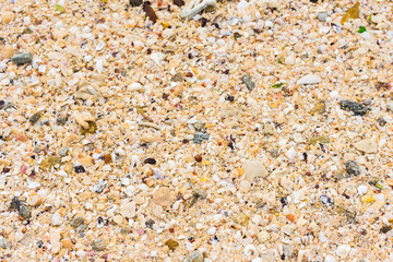 Sand texture. Sandy beach for background. Top view. Close-up.