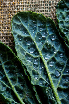 Kale on Burlap in Closeup