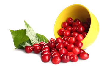 Bowl with red cherries on white background