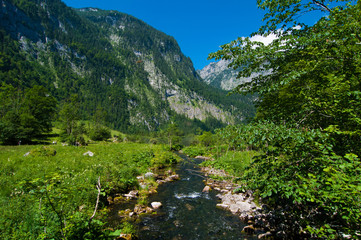 Bachlauf durch die Wildnis am K&ouml;nigssee