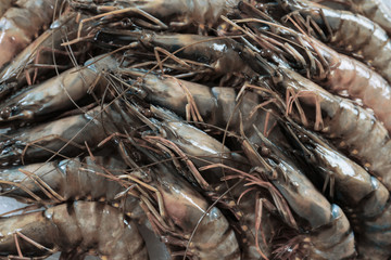 Fresh shrimp, close up