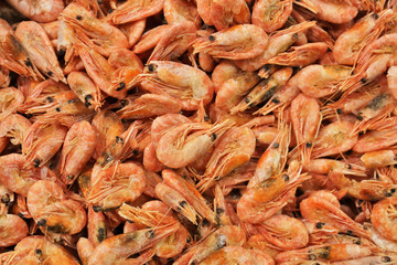 Fresh shrimps, close up