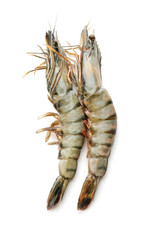 Fresh shrimps on white background