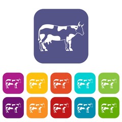 Cow icons set