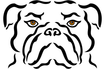 Obraz premium Illustration of portrait of bulldog, isolated