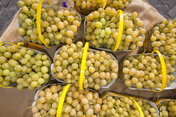 Italy, Sorrento, grapes