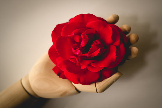 Vintage looking image of a wooden hand holding a red rose. - Powered by Adobe