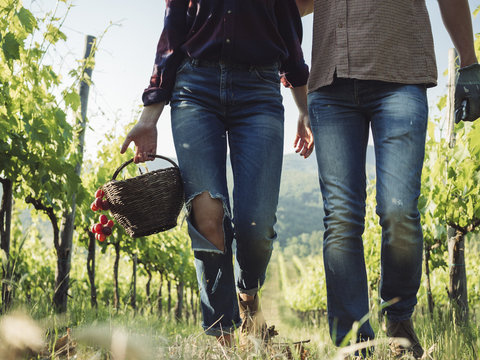 Young couple wotking in the vineyard