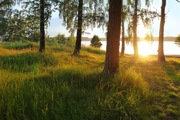 Enchanting play of sun on the lake. Lake Baltym, Sverdlovsk oblast, Russia.