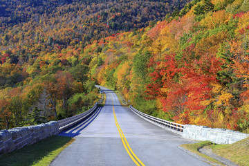 Blue Ridge Parkway, Grandfather Mountain, North Carolina