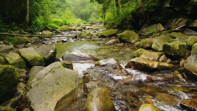 A beautiful mountain river or stream flows through the forest. The water boils on large stones. Ecology and clean environment