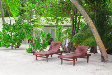 Obraz premium Wooden sun loungers on tropical beach in summer day