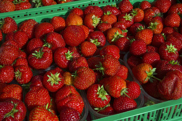 Italy, Lombardy, strawberries.