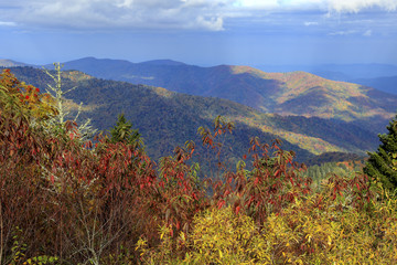 Scene from Great Smoky Mountains National Park, Tennessee