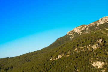 Fototapeta na wymiar Mountain with green trees against the blue clear sky, Tarragona, Catalunya, Spain. Copy space for text.