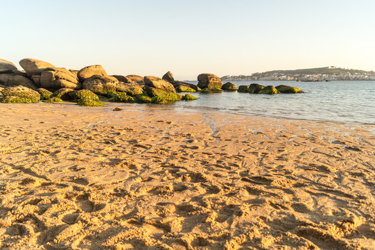 Stones, green and golden