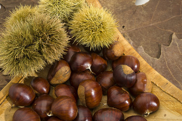 Chestnuts just picked up.