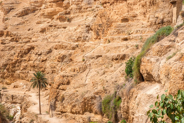 Wadi Qelt in Judean desert around St. George Orthodox Monastery