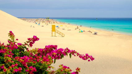 View on the beach Playa de Matorral on Fuerteventura, Spain.