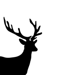 Black silhouette head deer white background