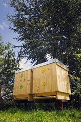 Bees flying into wooden hive on a sunny day