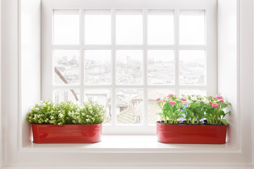 Flower Vases on Windowsill