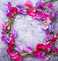 Summer floral background with colorful flower