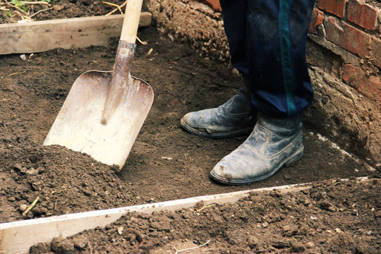 รูปภาพDisinter – เลือกดูภาพถ่ายสต็อก เวกเตอร์ และวิดีโอ2,334 | Adobe Stock