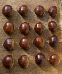 Obraz premium Chestnuts just picked up.