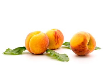 Ripe apricots on a white