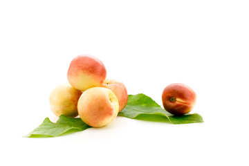 Ripe apricots with leaves on white