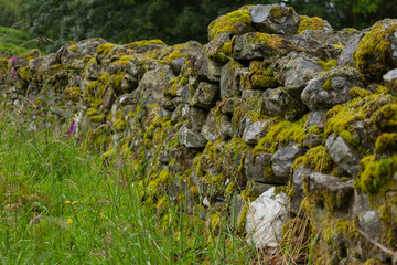 Steinmauer in Schottland