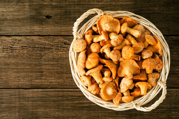 Raw wild mushrooms chanterelle in basket on rustic wooden table