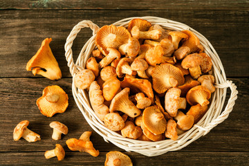 Raw wild mushrooms chanterelle in basket on rustic wooden table