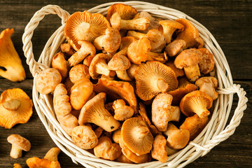 Raw wild mushrooms chanterelle in basket on rustic wooden table