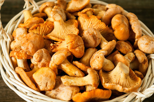 Raw wild mushrooms chanterelle in basket on rustic wooden table