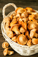 Raw wild mushrooms chanterelle in basket on rustic wooden table