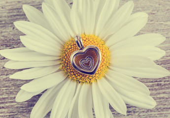 Pendant - heart and chamomile flower