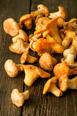 Raw wild mushrooms chanterelle on rustic wooden table