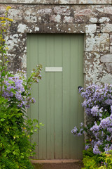 grüne Tür mit Steinmauer und lila Stauden
