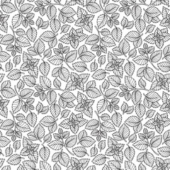 Vector seamless pattern  of mint leaves .