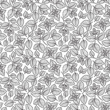 Vector seamless pattern of mint leaves . © photo-nuke