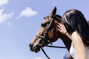 woman touching horse