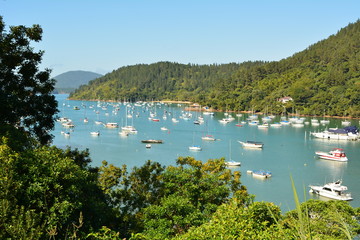 Saco da Ribeira, Ubatuba SP